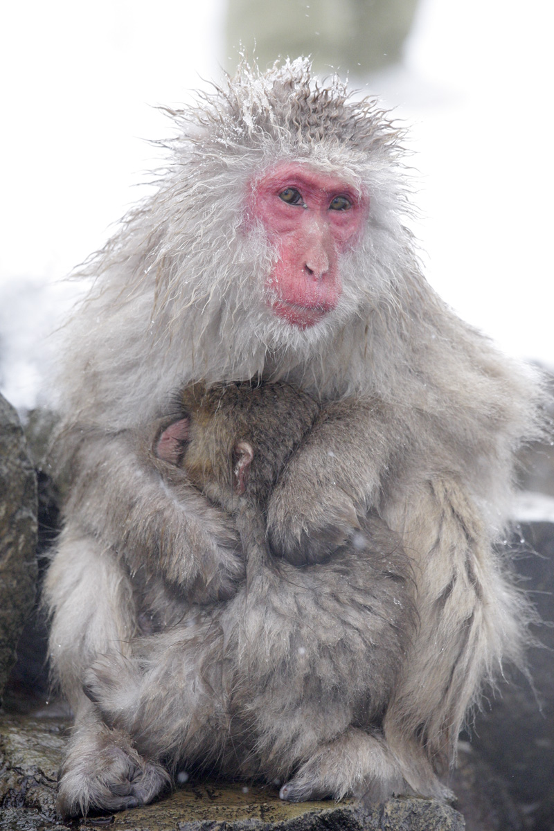 1-Mother and Child