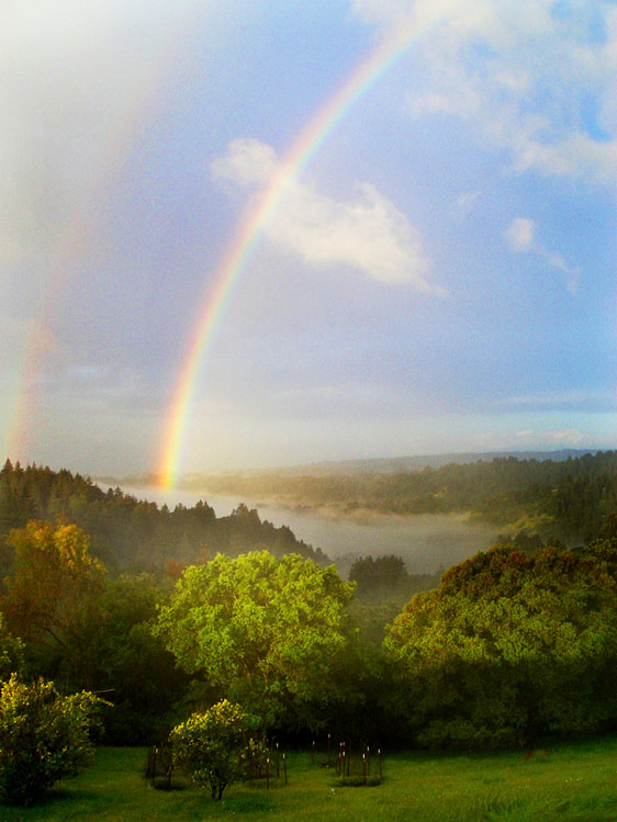 2-Rainbow View562